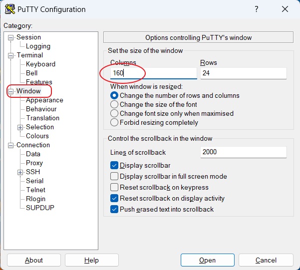 2FA-Putty-Window-Setting